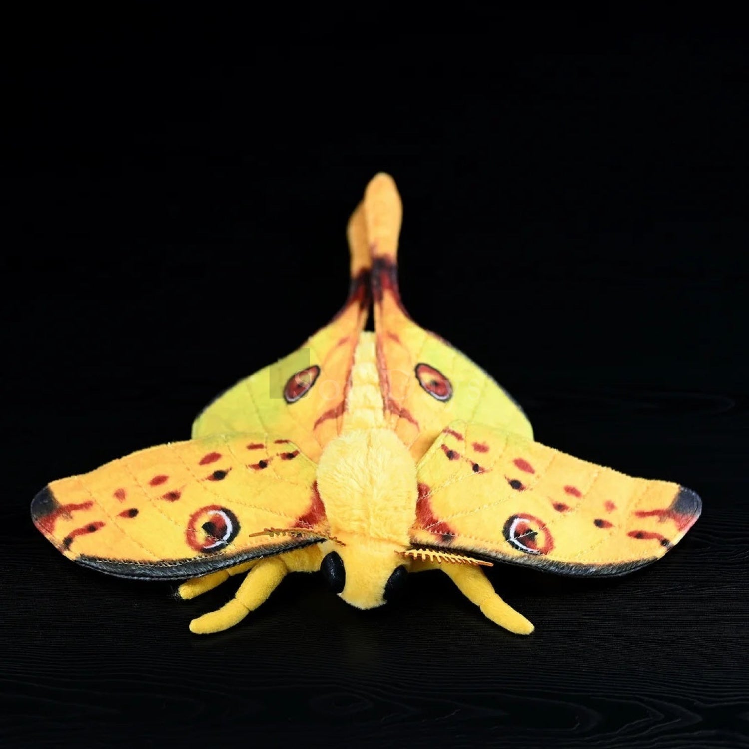 Close-up of comet moth plush head, featuring intricate antennae and lifelike black eyes