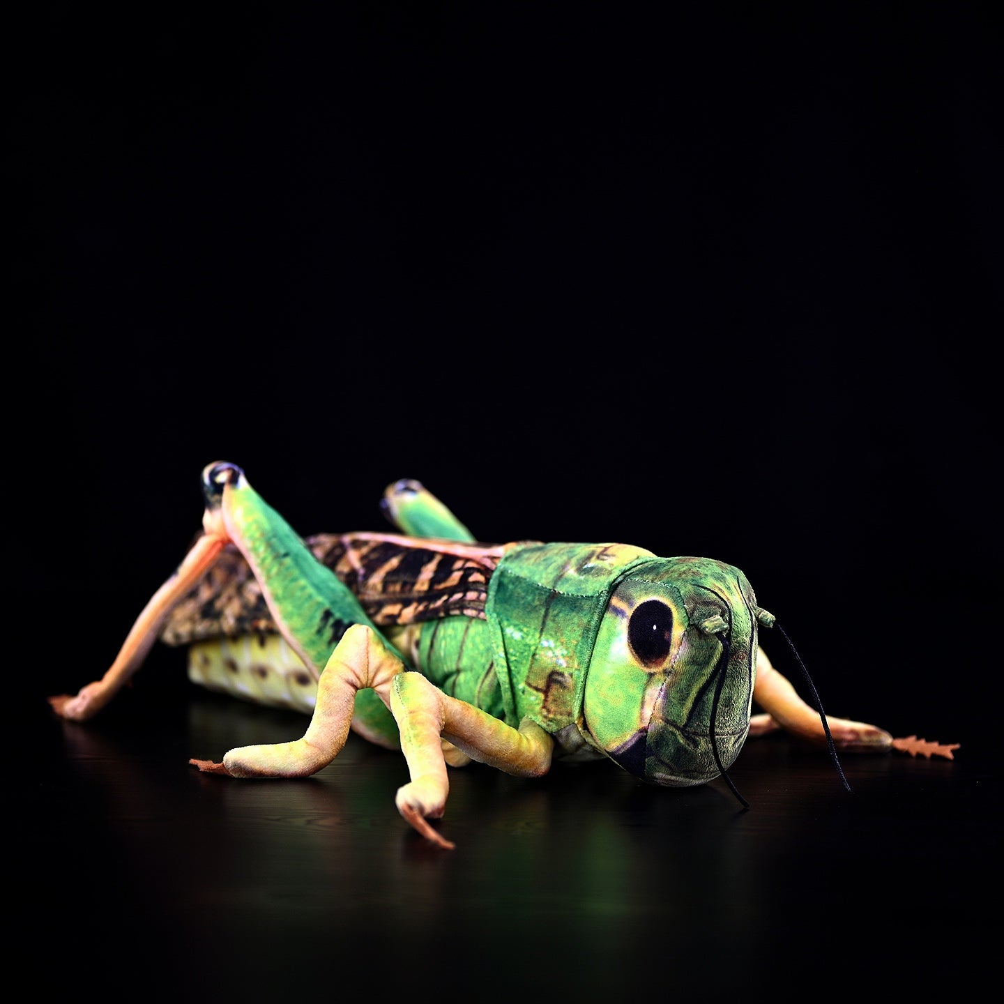Realistic green grasshopper plush toy with lifelike details and vibrant colors, perfect for nature lovers