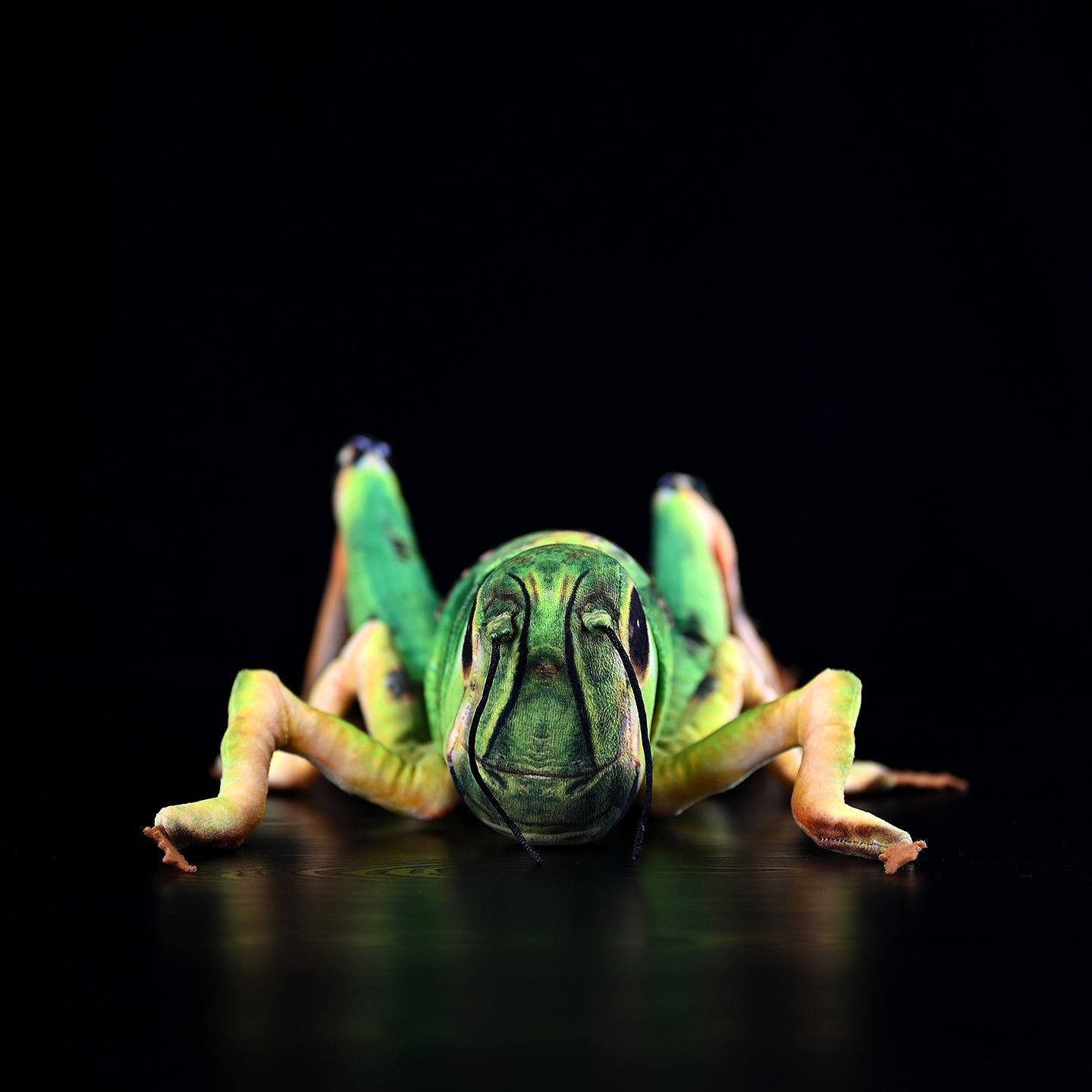 Front view of a realistic green grasshopper plush toy with lifelike details, ideal for insect enthusiasts