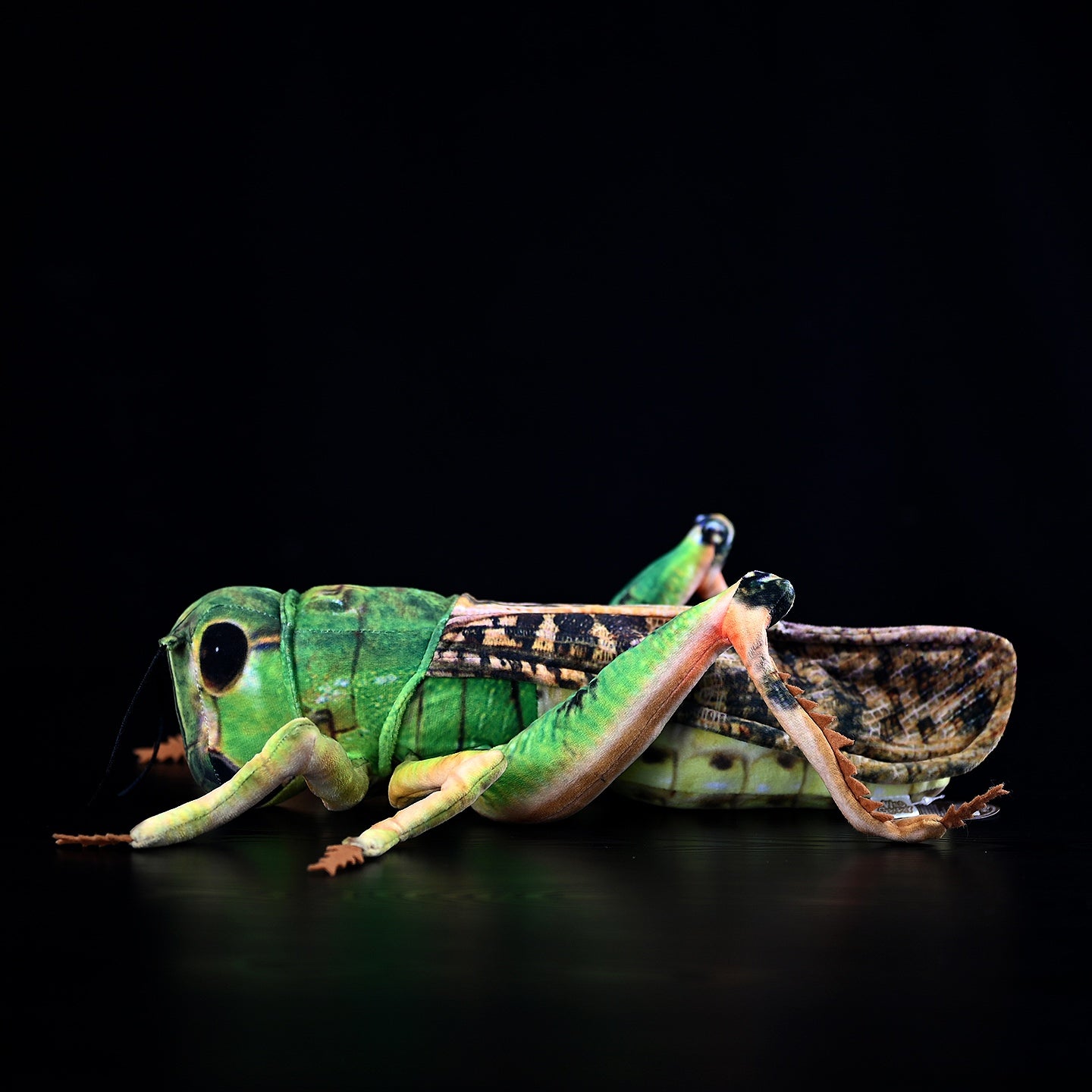 Side view of green grasshopper plush toy with intricate leg and wing patterns, ideal for nature-inspired decor