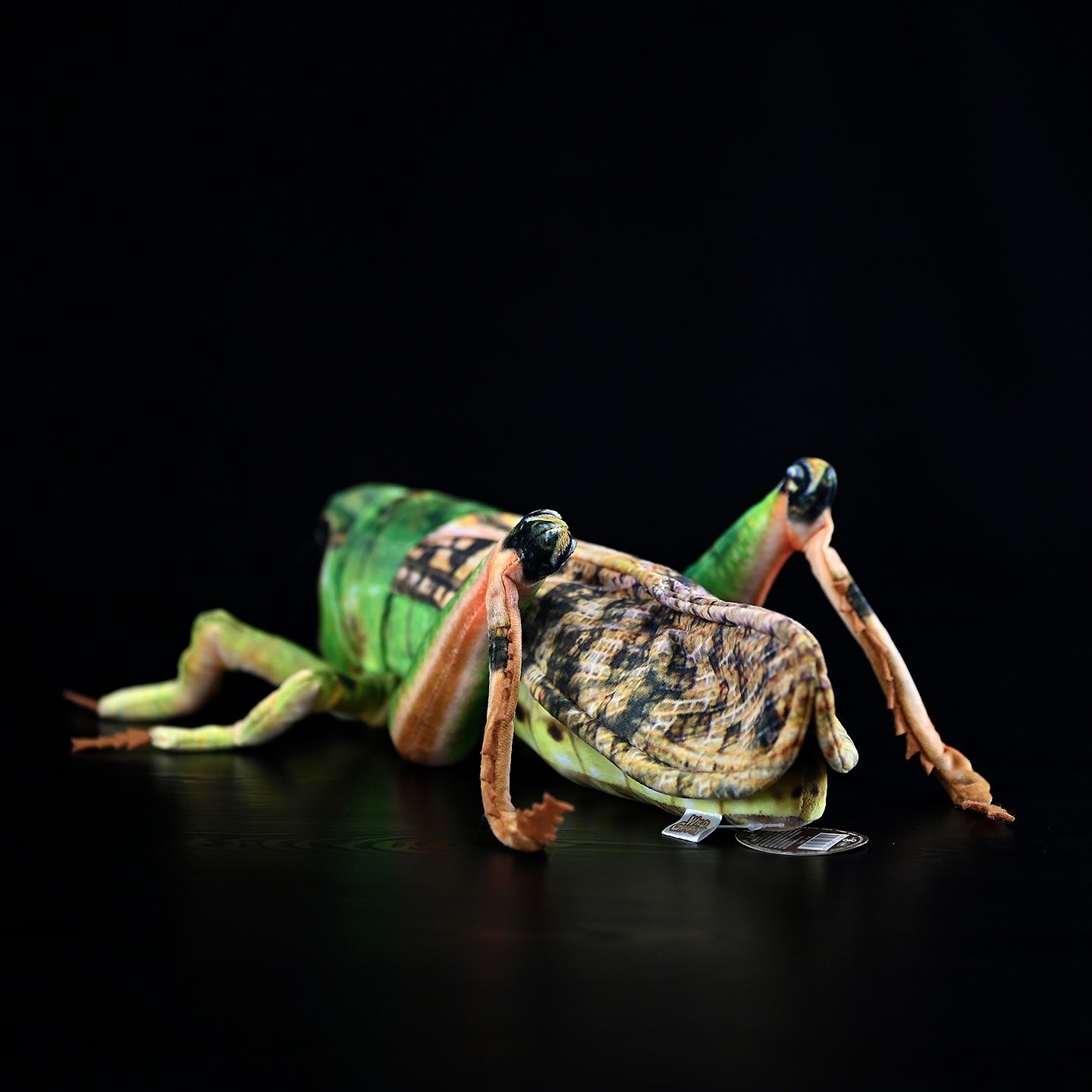 Realistic green grasshopper plush toy with a focus on its detailed hind legs and wings, perfect gift for kids