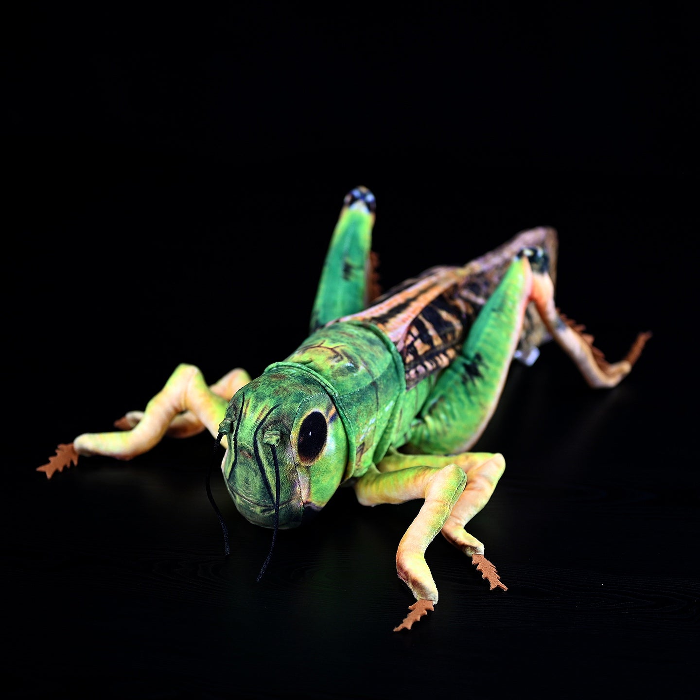 Lifelike green grasshopper plush toy featuring detailed design and soft texture for insect enthusiasts