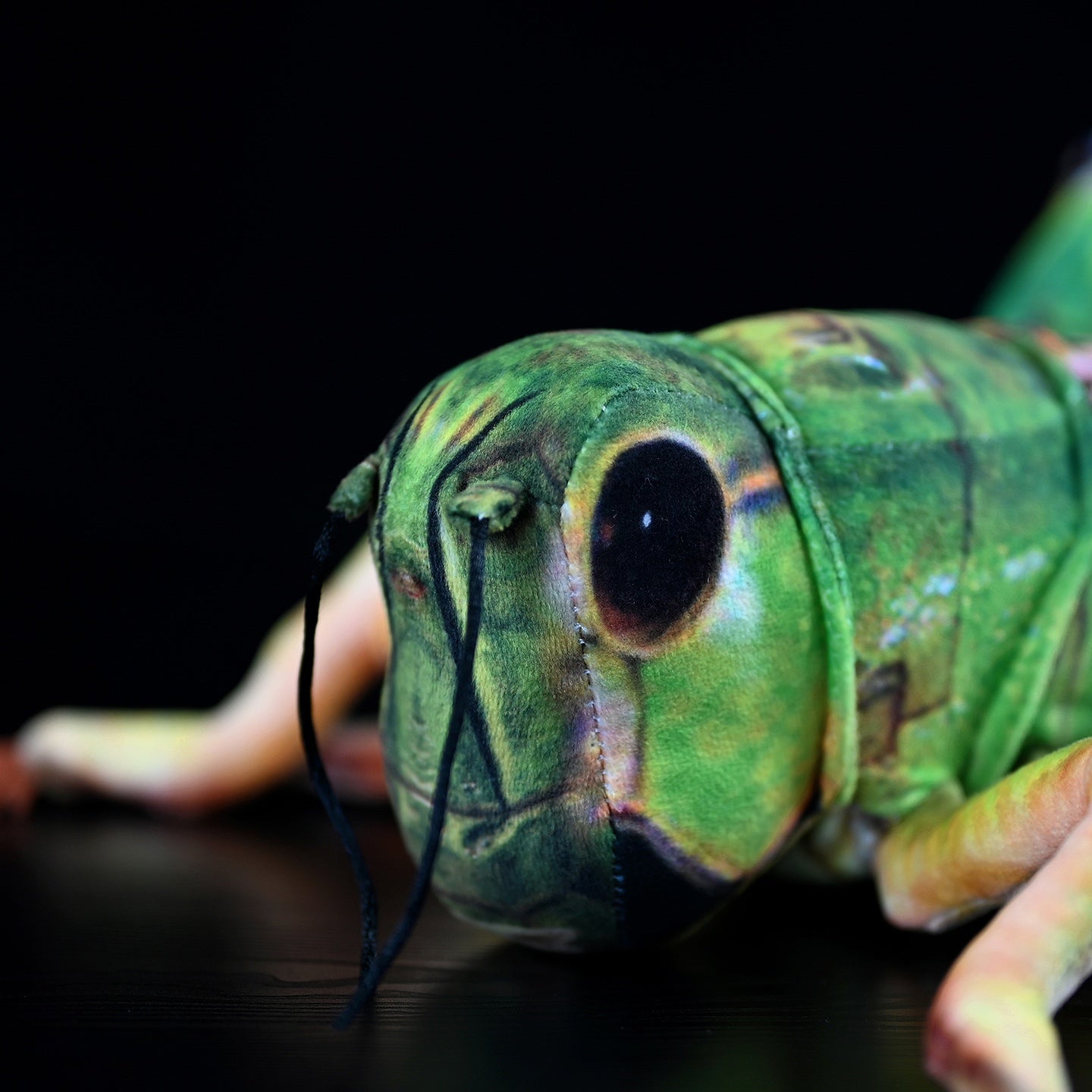 Zoomed-in view of grasshopper plush toy’s head, showing realistic eyes and antennae for insect admirers