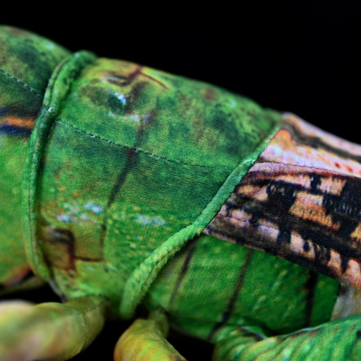 Close-up of the plush grasshopper’s textured body, highlighting lifelike patterns and vibrant colors