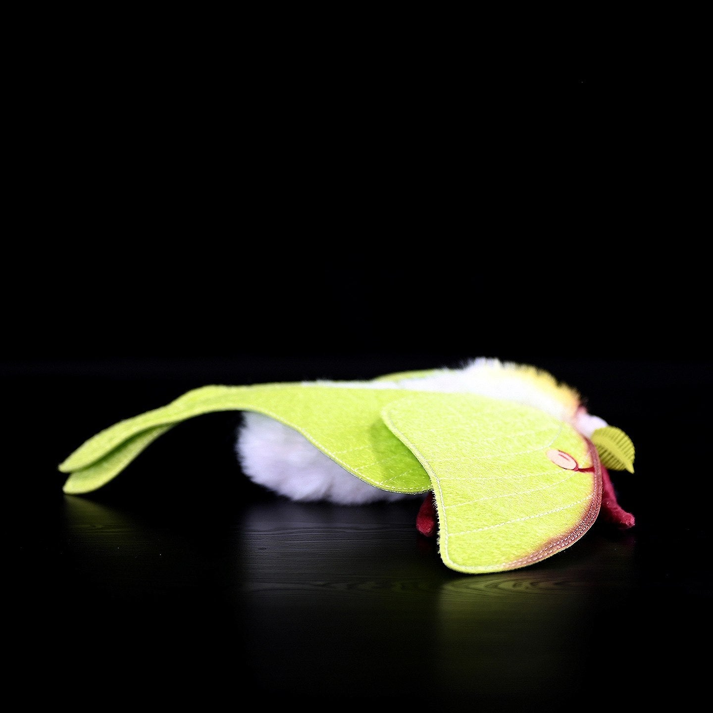 Side angle of a soft and lifelike American Moon Moth plush featuring realistic wing texture and details