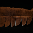 Lifelike Omnidens Plush Toy – Realistic Prehistoric Sea Creature Stuffed Animal