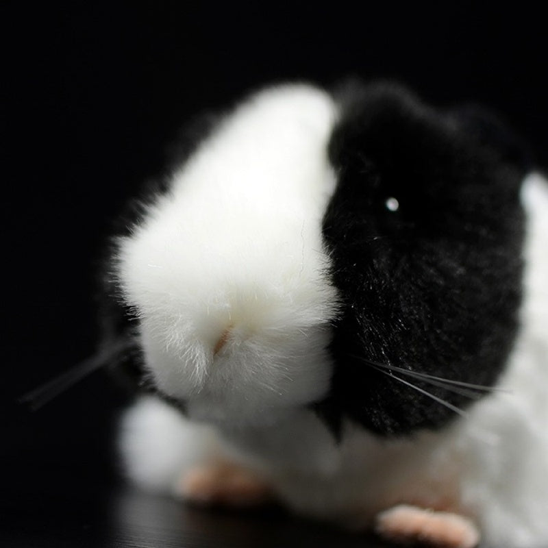 Close-up of the black and white guinea pig plush toy’s adorable nose and whiskers, featuring lifelike details by SoftDaysLab