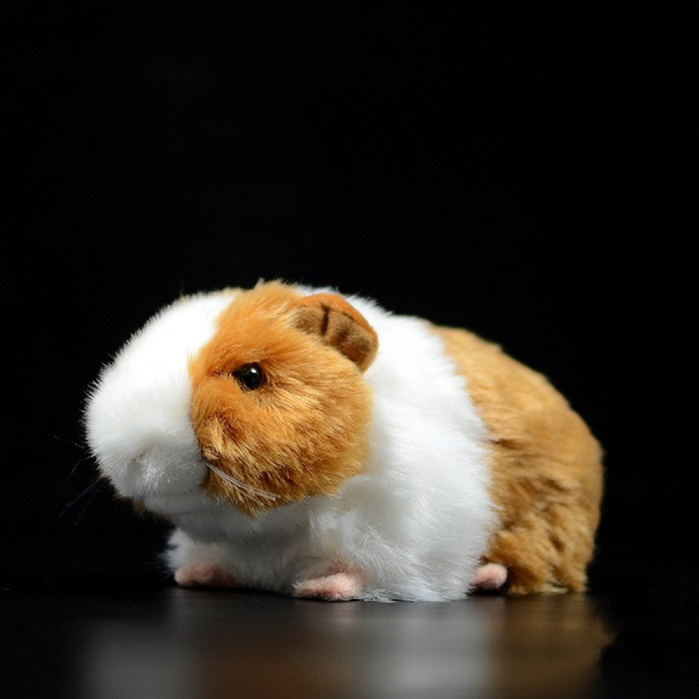 Guinea Pig Soft Stuffed Plush Toy – Lifelike and Adorable