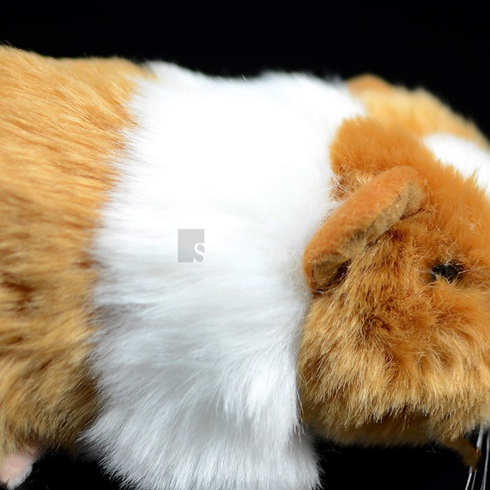 Guinea Pig Soft Stuffed Plush Toy – Lifelike and Adorable