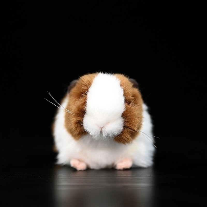Front view of Brown and white guinea pig plush toy, showcasing lifelike details and soft texture by SoftDaysLab