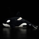 Lifelike Orca Whale Plush Toy – Soft, Realistic, and Cuddly