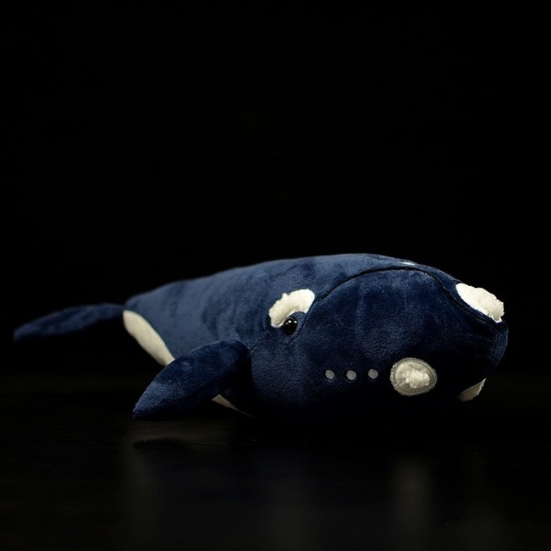Realistic Southern Right Whale plush toy in navy blue, soft and cuddly, perfect for ocean lovers by SoftDaysLab