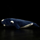 Lifelike Southern Right Whale Plush Toy – Soft, Realistic, and Cuddly
