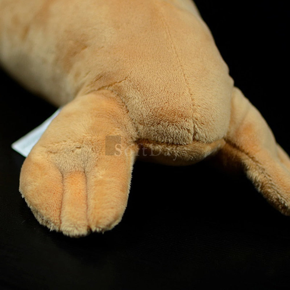 Realistic Walrus Plush Toy with Tusks and Whiskers – Soft, Huggable, and Perfect for Arctic Animal Lovers