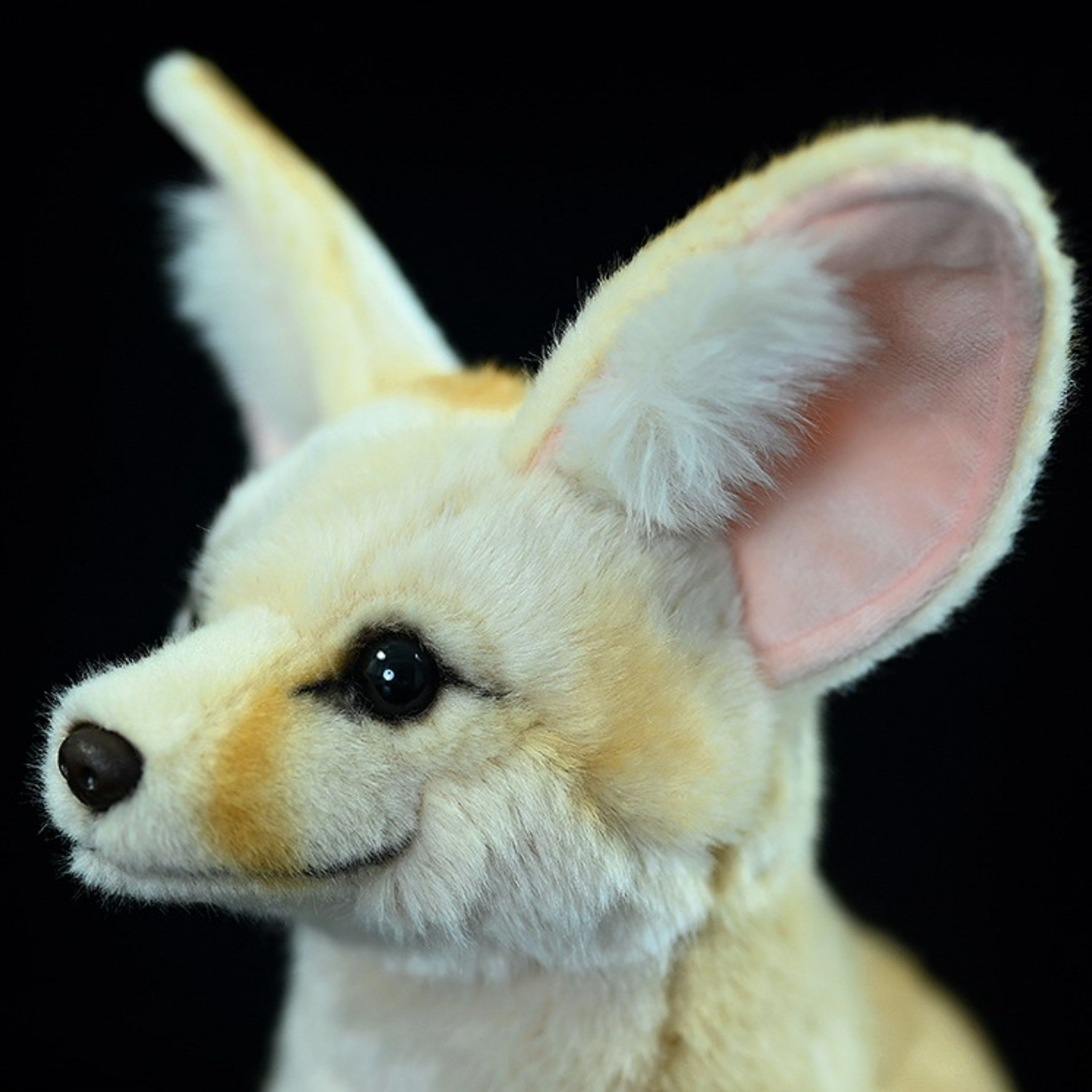 Close-up of a realistic fennec fox plush face showing detailed eyes, nose, and fur by SoftDaysLab
