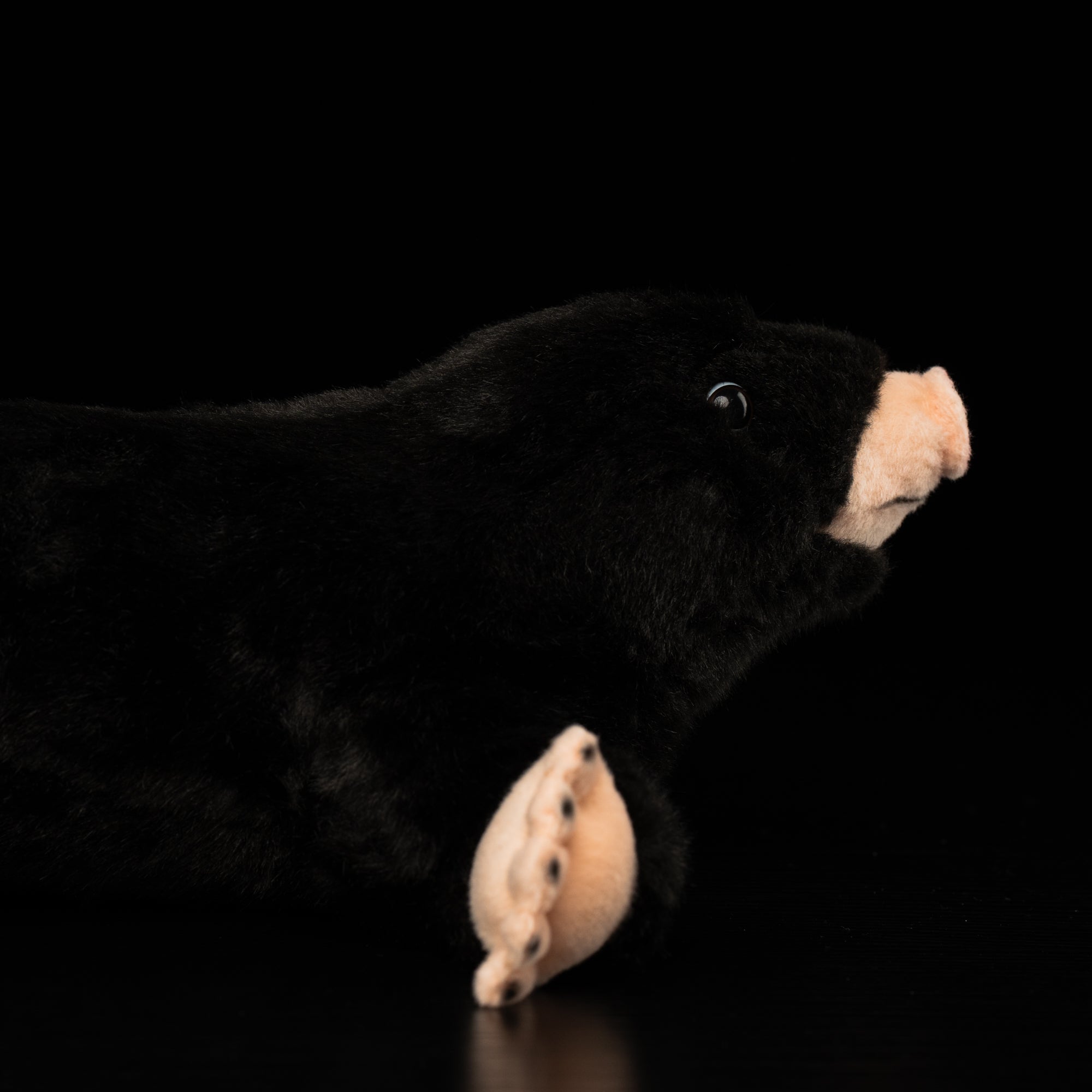Close-up of mole plush toy's face, featuring lifelike eyes and soft fur for a realistic look