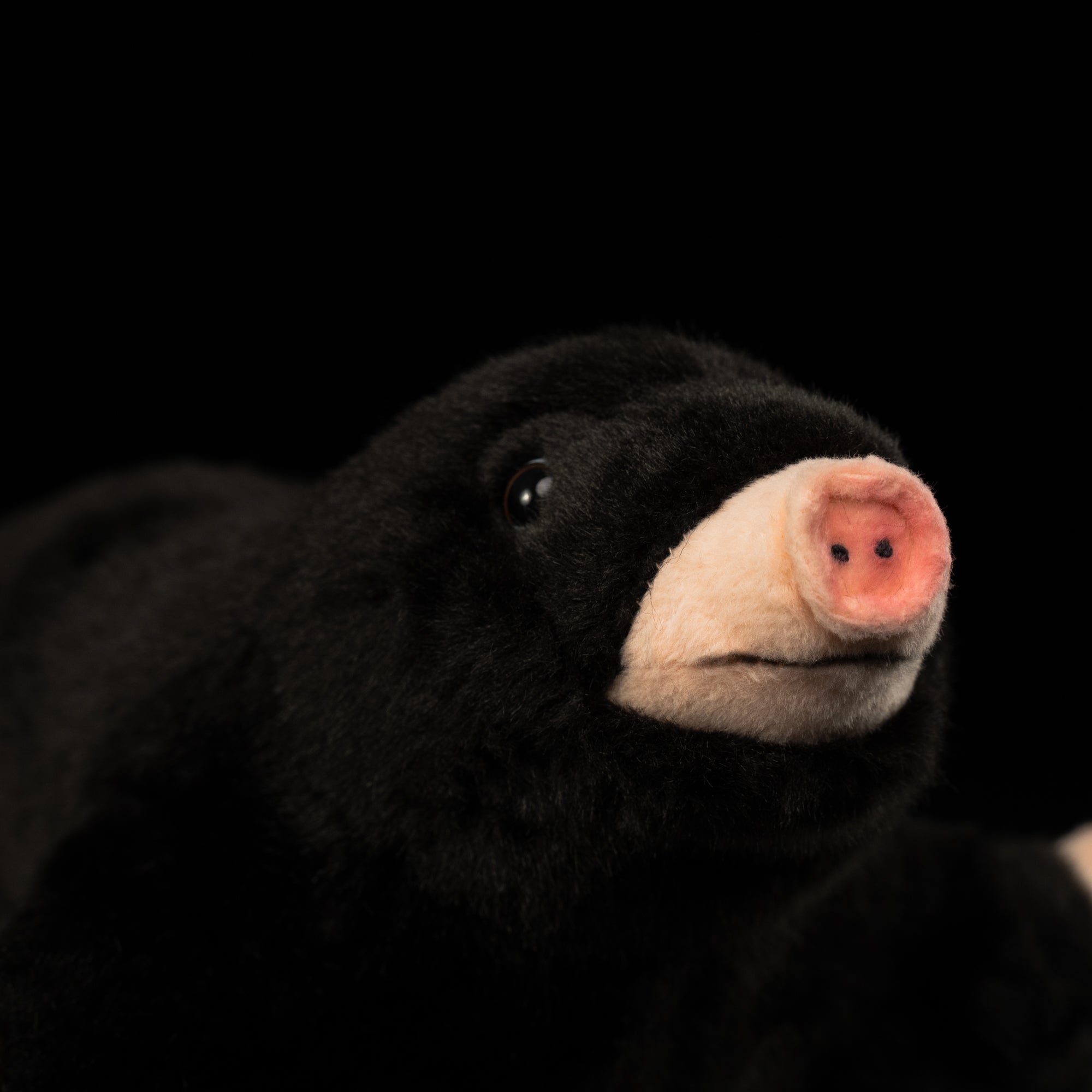 Close-up of a mole plush toy's pink snout, capturing the realistic charm of the animal