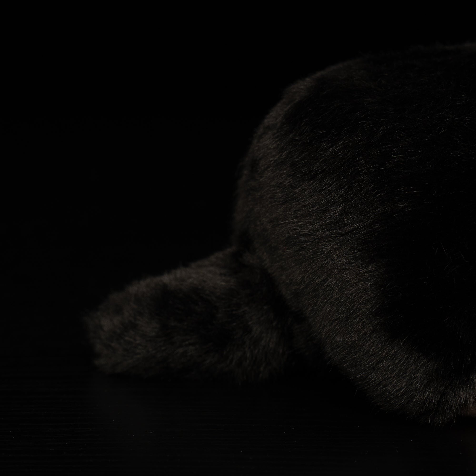 Close-up of the mole plush toy's fluffy tail, adding to its realistic and huggable design
