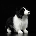 Realistic Border Collie Plush Toy – Soft, Cuddly, and Perfect for Dog Lovers