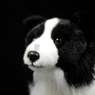 Realistic Border Collie Plush Toy – Soft, Cuddly, and Perfect for Dog Lovers