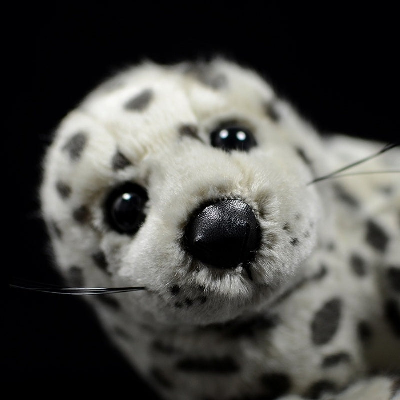 Front-facing close-up of a spotted seal plush toy's face, featuring cute nose and whiskers by SoftDaysLab
