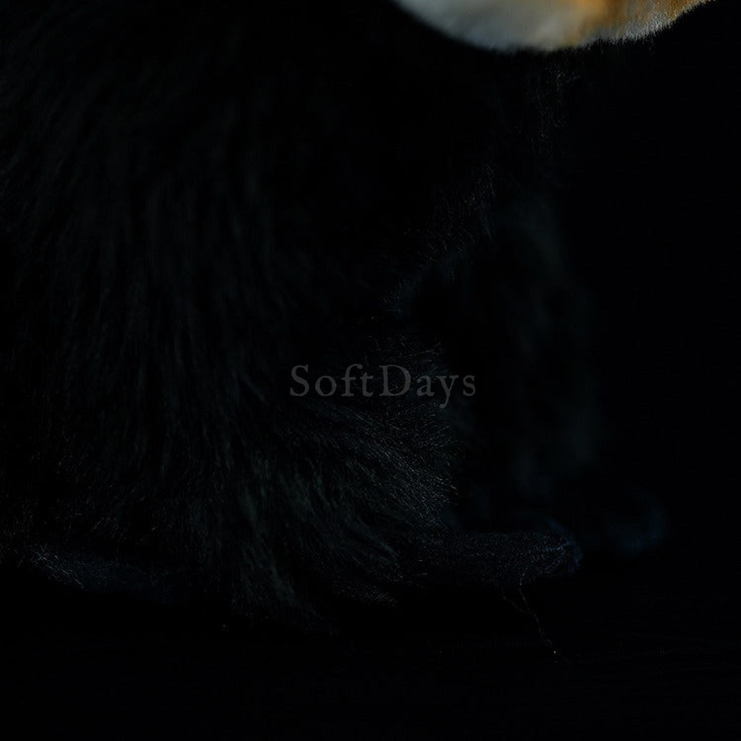 White-faced Saki Monkey Plush Toy – Realistic and Cuddly Jungle Friend