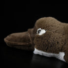 Duck-billed Platypus Soft Stuffed Plush Toy – Lifelike, Adorable, and Hug-worthy Companion