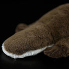Duck-billed Platypus Soft Stuffed Plush Toy – Lifelike, Adorable, and Hug-worthy Companion