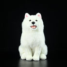 Samoyed Dog Plush Toy – Fluffy, Huggable, and Perfect for Dog Lovers