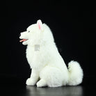 Samoyed Dog Plush Toy – Fluffy, Huggable, and Perfect for Dog Lovers