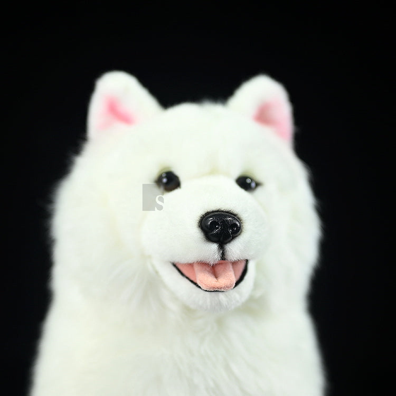 Front close-up of Samoyed dog plush showing its adorable face and fluffy white fur by SoftDaysLab