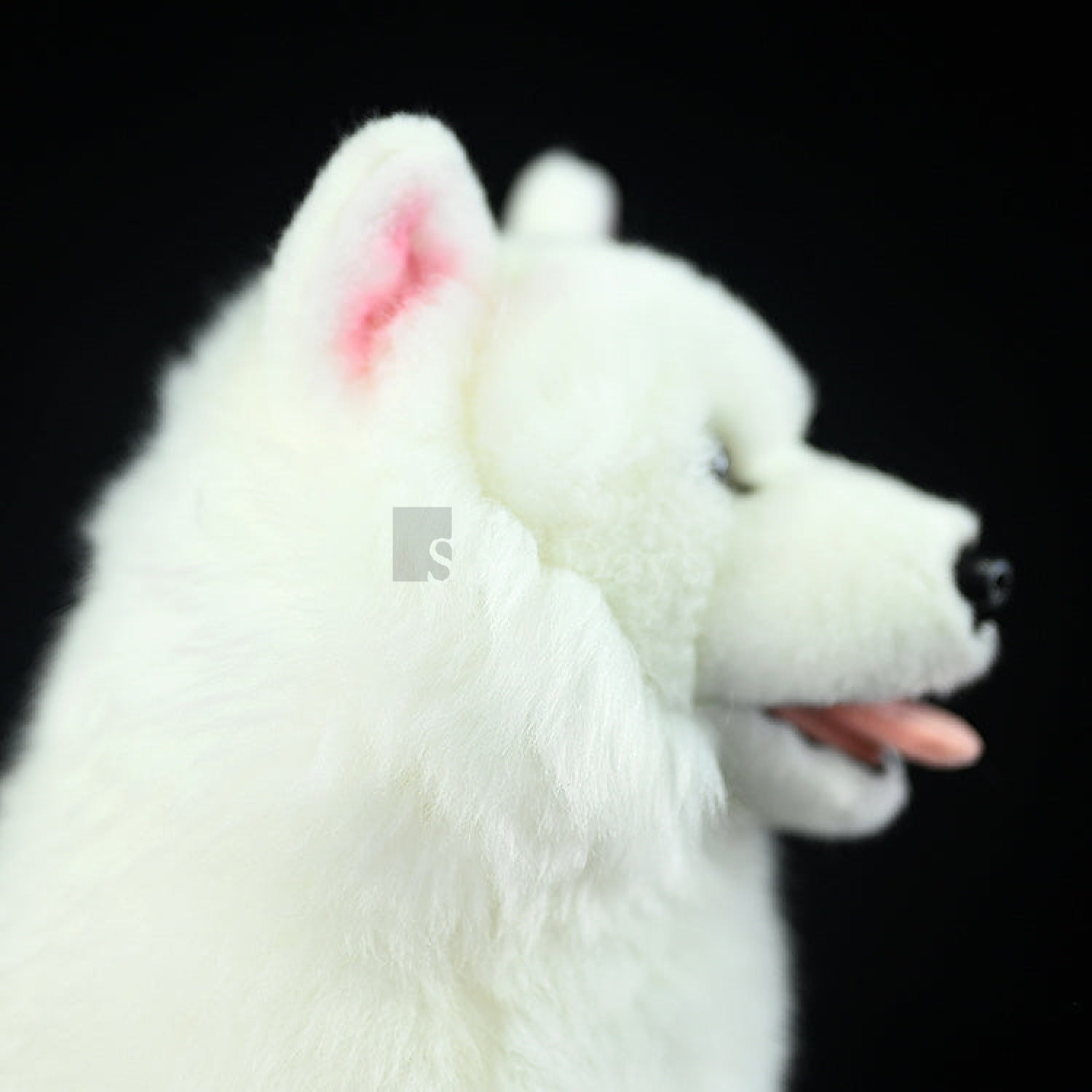 Close-up of Samoyed plush toy's head, highlighting its detailed ears and friendly smile by SoftDaysLab