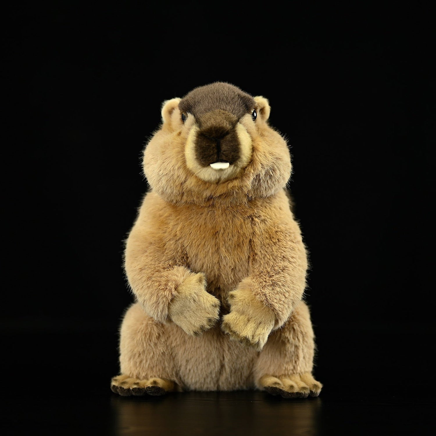 Front view of marmot plush toy with soft brown fur and realistic design by SoftDaysLab
