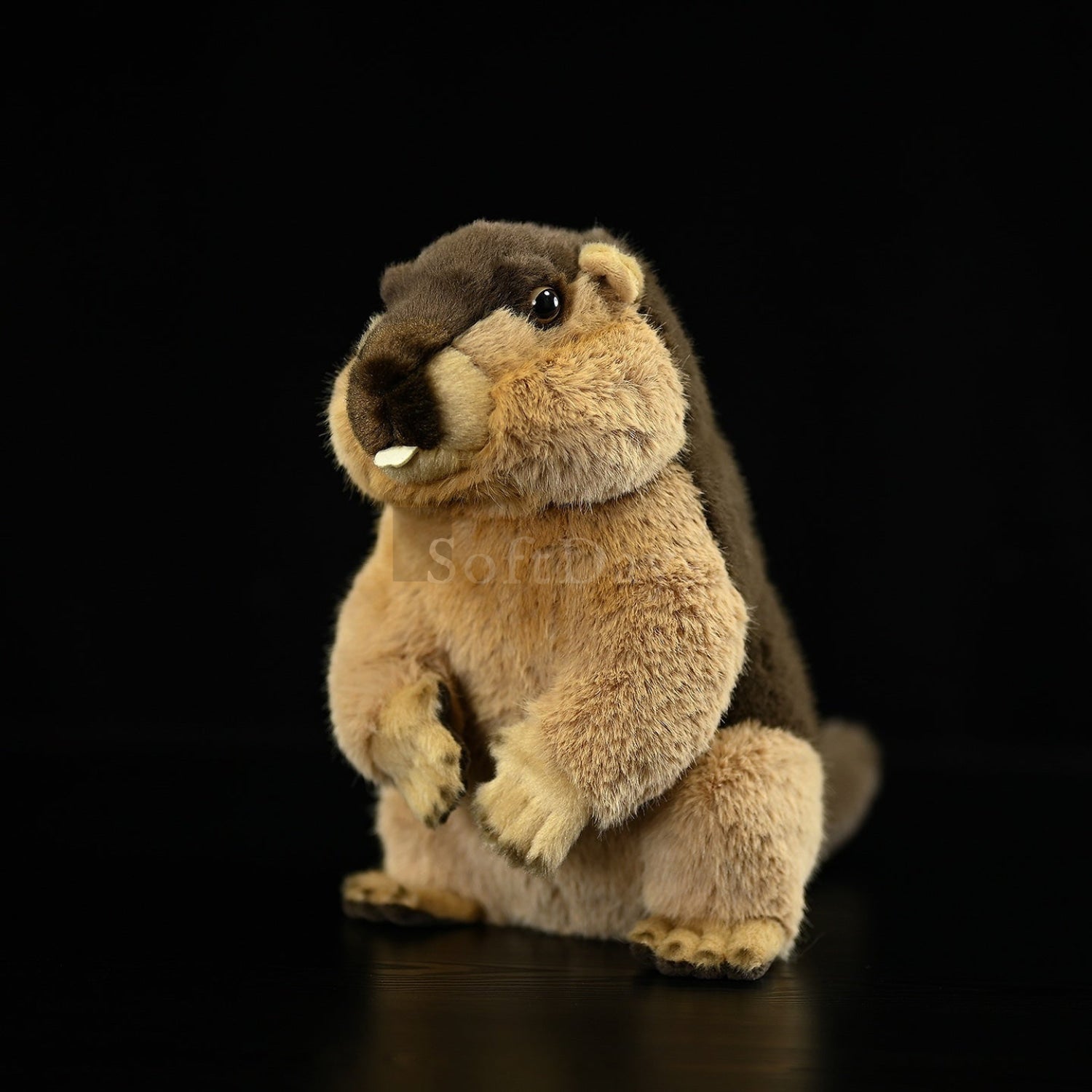 Side angle of adorable marmot plush toy sitting upright, showcasing lifelike details by SoftDaysLab