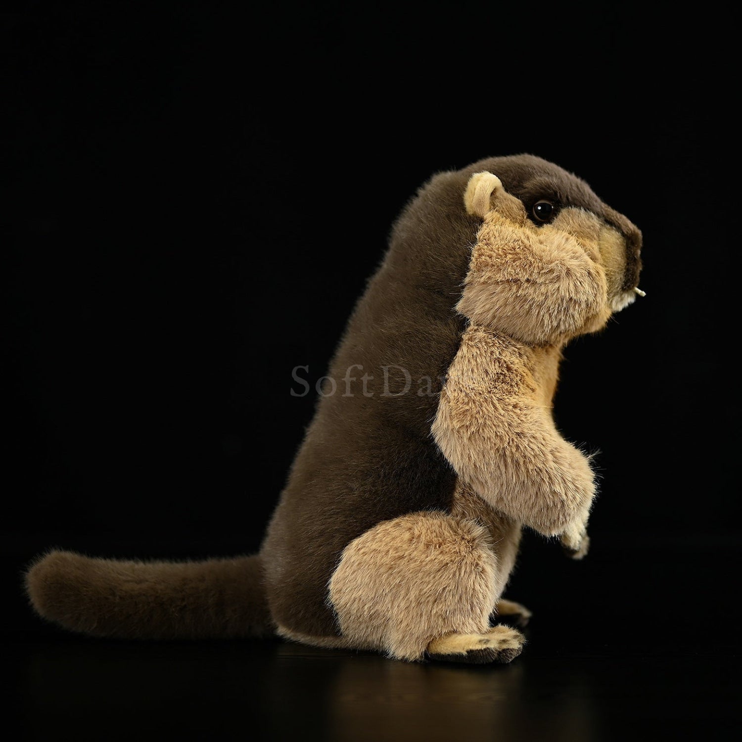 Lifelike Marmot Plush Toy – Soft, Adorable, and Hug-worthy Companion