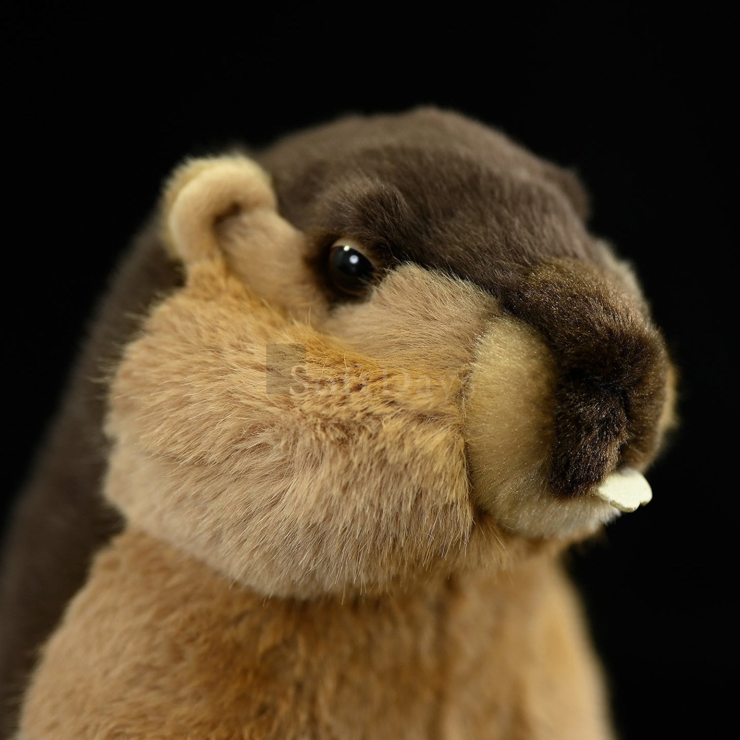 Lifelike Marmot Plush Toy – Soft, Adorable, and Hug-worthy Companion