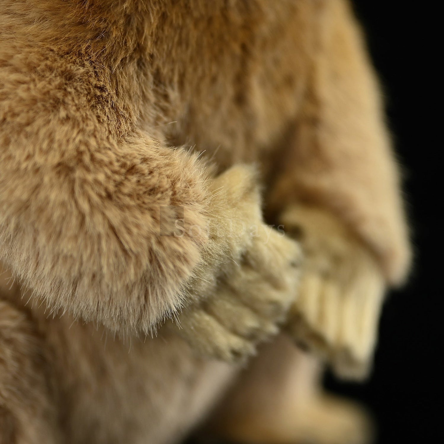 Lifelike Marmot Plush Toy – Soft, Adorable, and Hug-worthy Companion