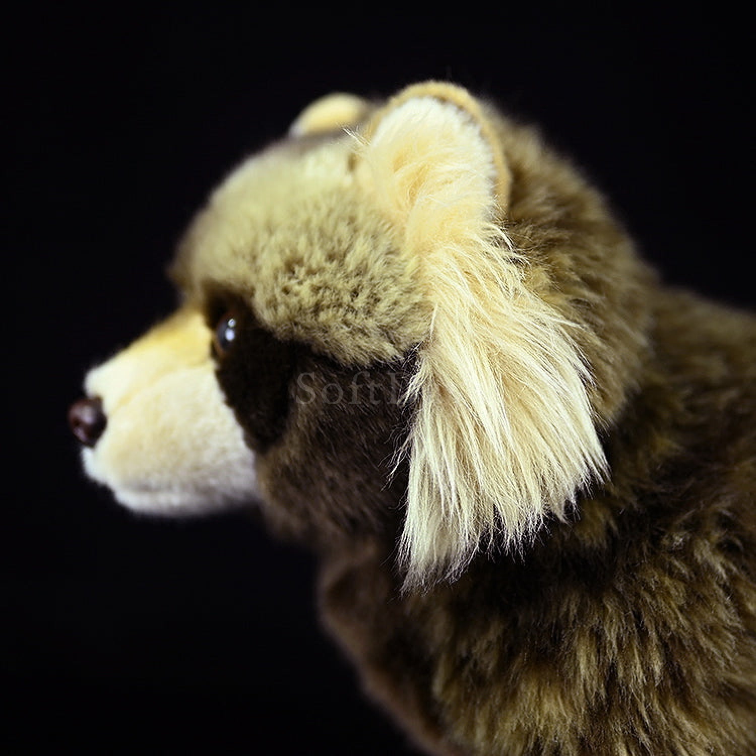Detailed side view of a Japanese raccoon dog plush toy, highlighting realistic fur texture and detailed ears