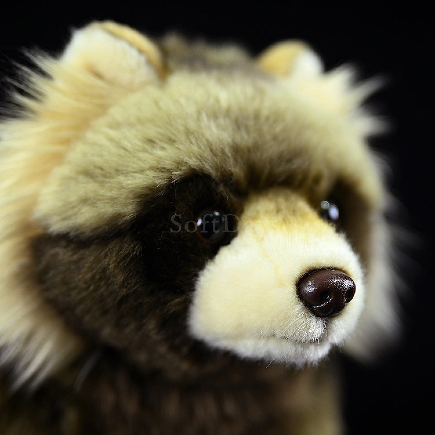 Close-up of Japanese raccoon dog plush toy’s face, featuring detailed eyes and soft, realistic fur