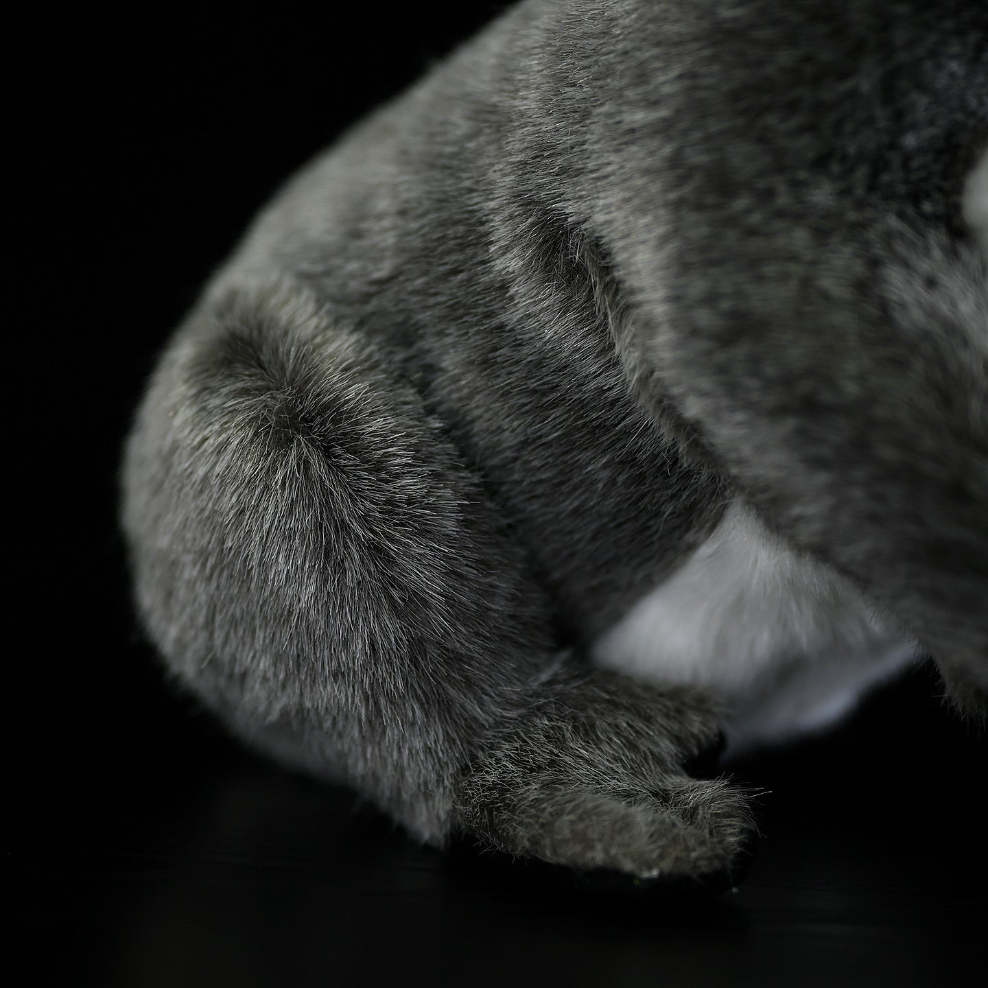 Detailed close-up of the koala plush toy's tail and back, showcasing its fluffy and lifelike design