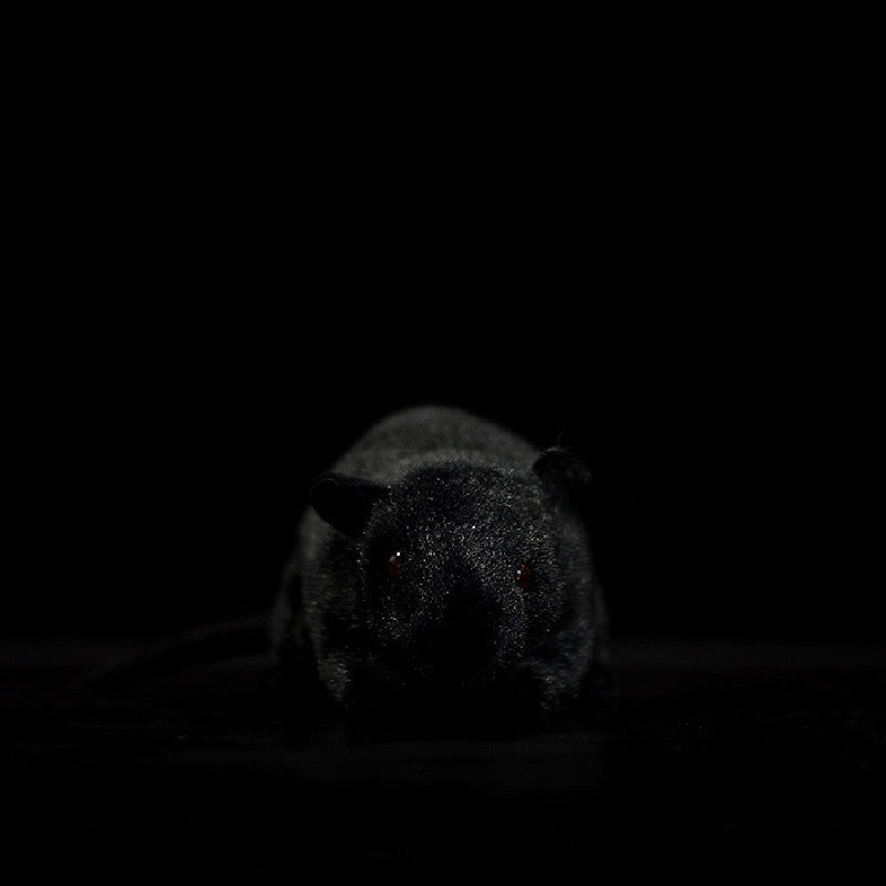 Front view of a realistic black rat plush toy, ideal for animal enthusiasts and gift options