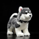 Grey and white Alaskan Malamute plush toy standing on display, highlighting realistic details