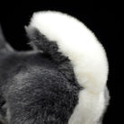 Zoomed-in view of the Alaskan Malamute plush toy’s curled white tail with soft, fluffy texture