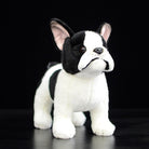 Front view of a realistic Black Pied French Bulldog plush toy, featuring a cute and detailed expression