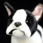 Close-up of the Black Pied French Bulldog plush toy's face, showcasing its detailed snout and lifelike features