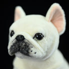 Close-up of a cream French Bulldog plush toy's face, highlighting its realistic nose and adorable expression