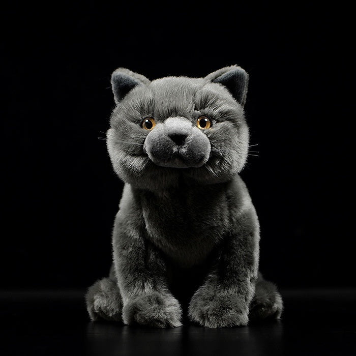 Front view of lifelike British Blue Shorthair plush toy with realistic details by SoftDaysLab, perfect gift