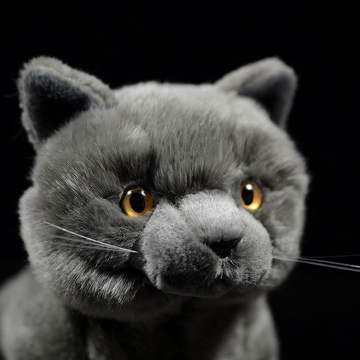 Close-up of British Blue Shorthair plush toy’s face, featuring lifelike eyes and a soft, plush texture