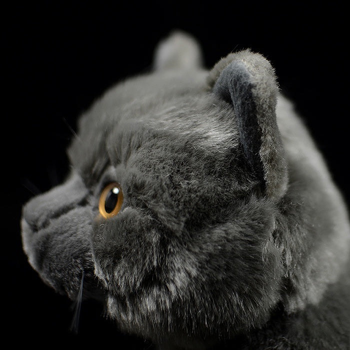 Side profile close-up of British Blue Shorthair plush toy’s head, showing realistic fur and ears