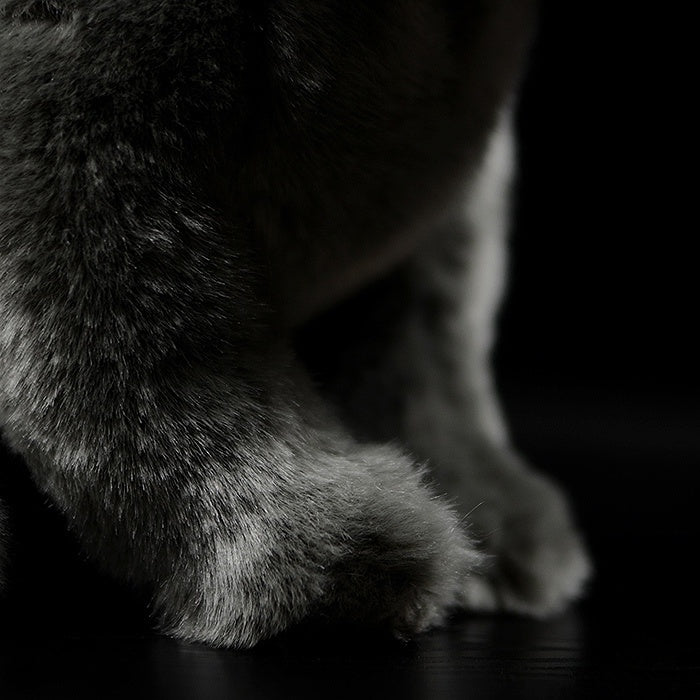 Close-up of the paw of a British Blue Shorthair plush, highlighting its soft, detailed fur texture